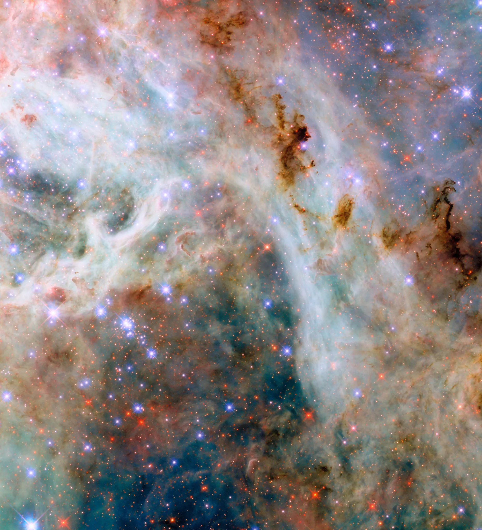 The Cosmic Canvas of the Tarantula Nebula